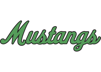 Burnsville Softball